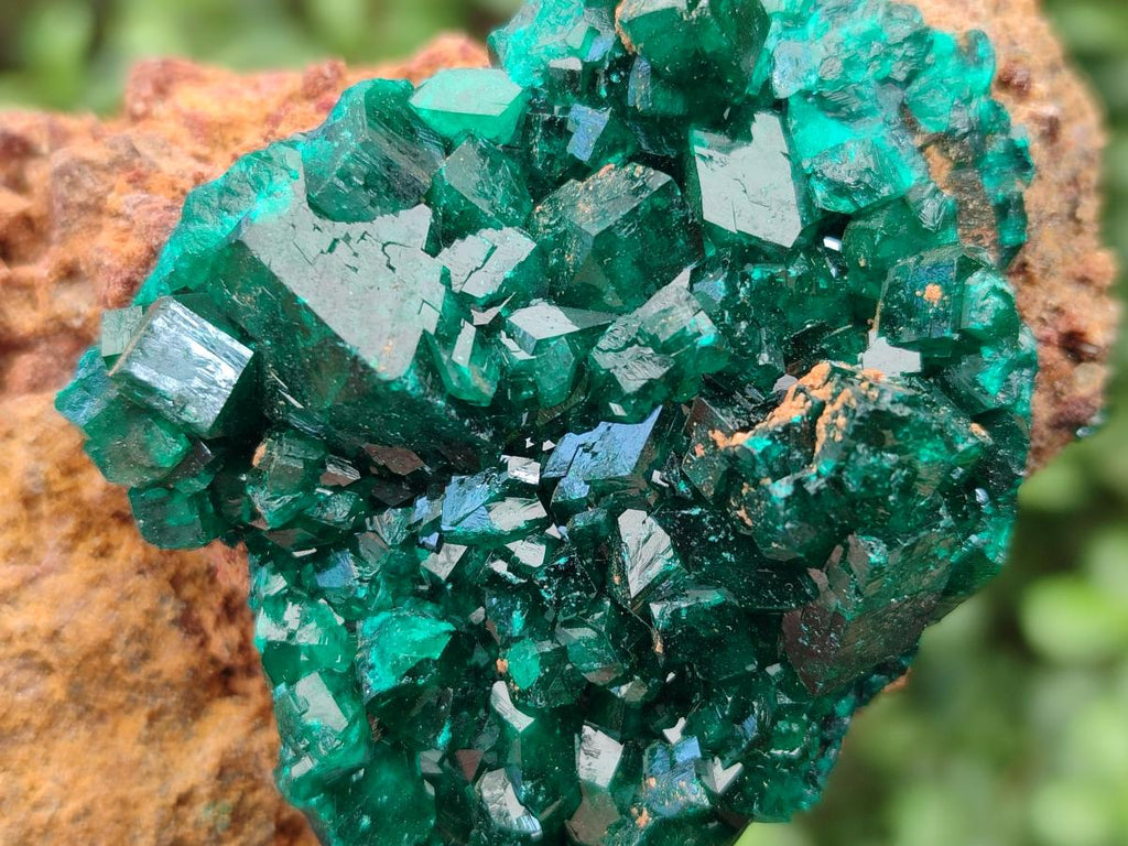 Natural Cabinet Size Dioptase on Dolomite Specimens x 3 From Mashamba East Mine, Congo