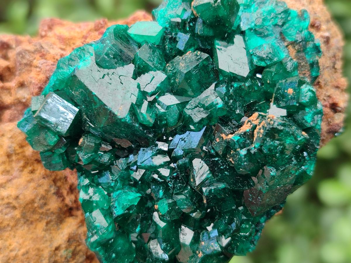 Natural Cabinet Size Dioptase on Dolomite Specimens x 3 From Mashamba East Mine, Congo