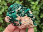 Natural Cabinet Size Dioptase on Dolomite Specimens x 3 From Mashamba East Mine, Congo