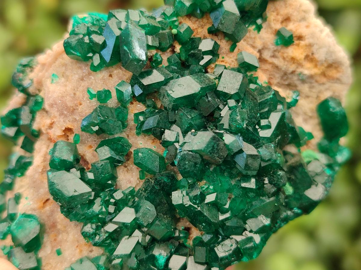 Natural Cabinet Size Dioptase on Dolomite Specimens x 3 From Mashamba East Mine, Congo