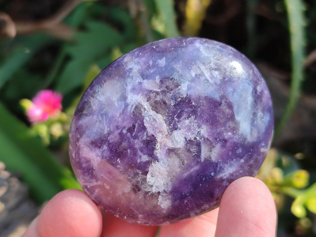 Polished Lepidolite Galets x 12 From Ambatondrazaka, Madagascar