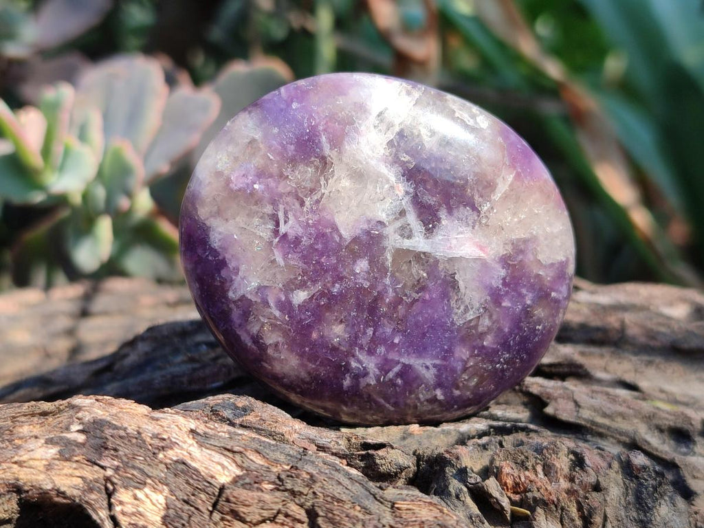 Polished Lepidolite Galets x 12 From Ambatondrazaka, Madagascar