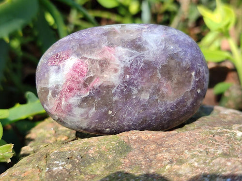 Polished Lepidolite Galets x 12 From Ambatondrazaka, Madagascar - Toprock Gemstones and Minerals 
