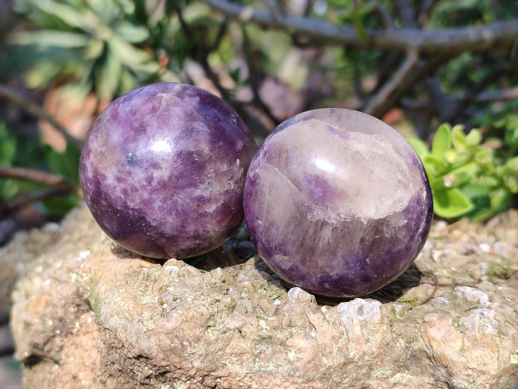 Polished Lepidolite Galets x 12 From Ambatondrazaka, Madagascar