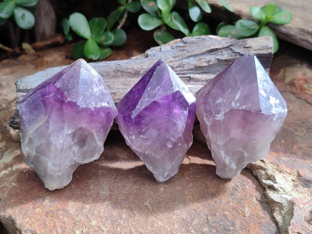 Natural Dark Purple Jacaranda Amethyst Single Crystals x 12 From Mumbwa, Zambia