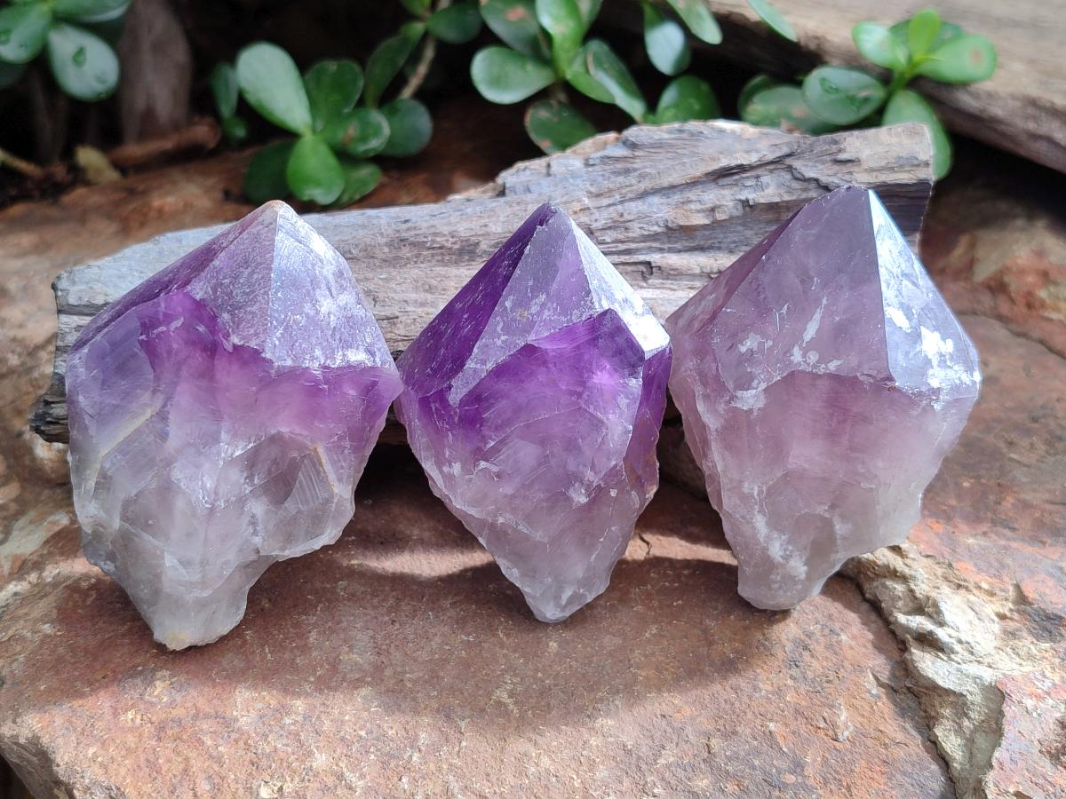 Natural Dark Purple Jacaranda Amethyst Single Crystals x 12 From Mumbwa, Zambia