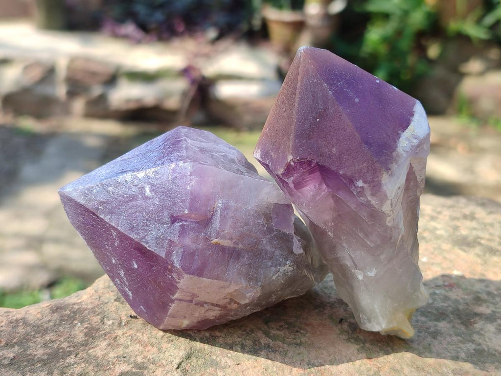 Natural Dark Purple Jacaranda Amethyst Single Crystals x 12 From Mumbwa, Zambia