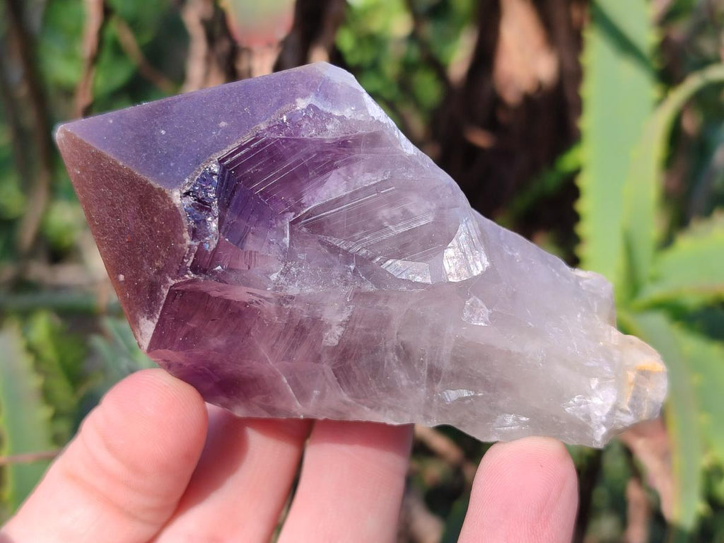 Natural Dark Purple Jacaranda Amethyst Single Crystals x 12 From Mumbwa, Zambia