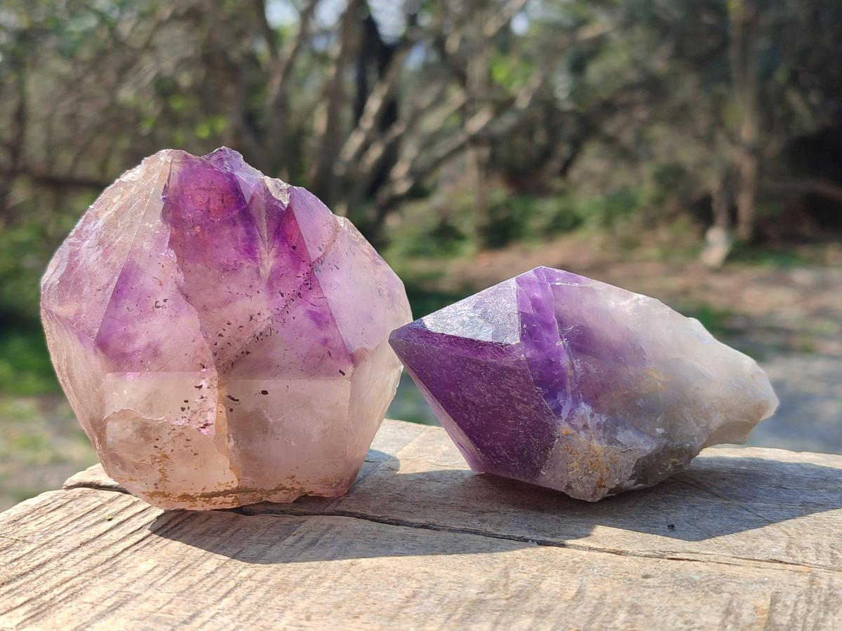 Natural Dark Purple Jacaranda Amethyst Single Crystals x 12 From Mumbwa, Zambia