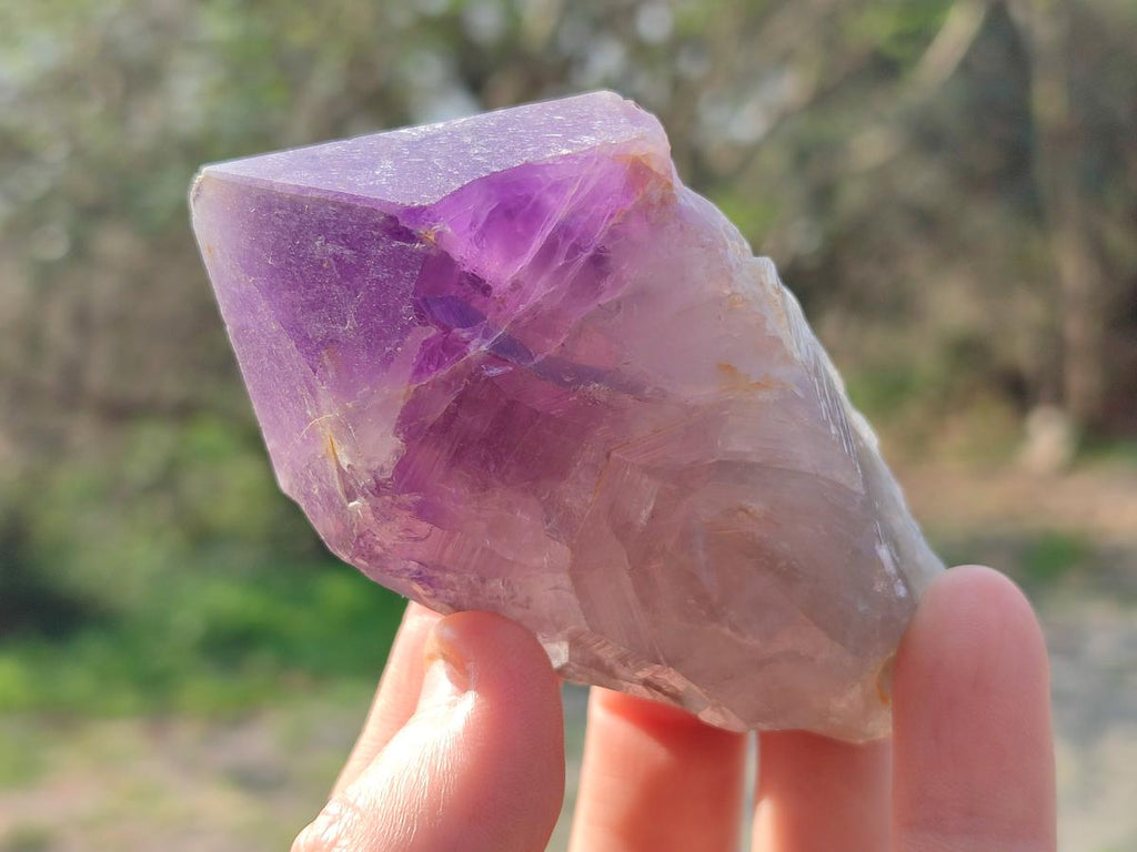 Natural Dark Purple Jacaranda Amethyst Single Crystals x 12 From Mumbwa, Zambia