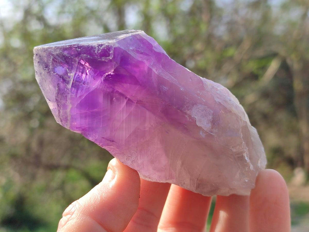 Natural Dark Purple Jacaranda Amethyst Single Crystals x 12 From Mumbwa, Zambia