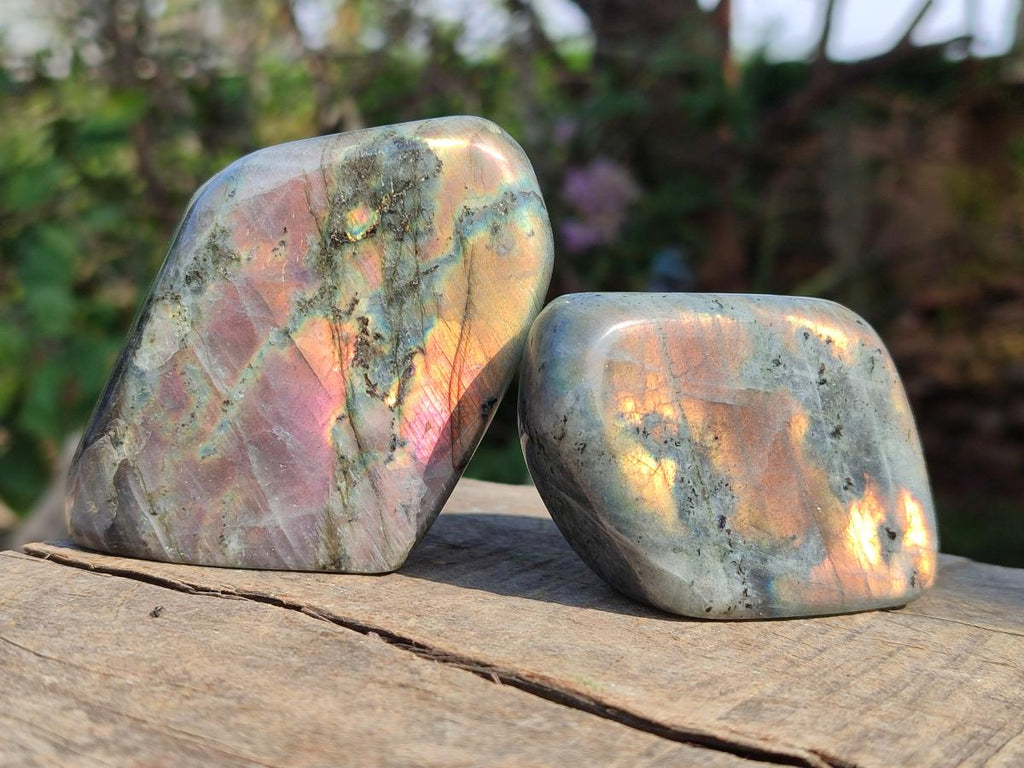 Polished Sunset Flash Labradorite Standing Display Pieces x 12 From Madagascar