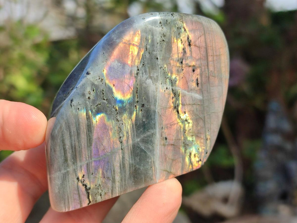Polished Sunset Flash Labradorite Standing Display Pieces x 12 From Madagascar