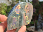 Polished Sunset Flash Labradorite Standing Display Pieces x 12 From Madagascar