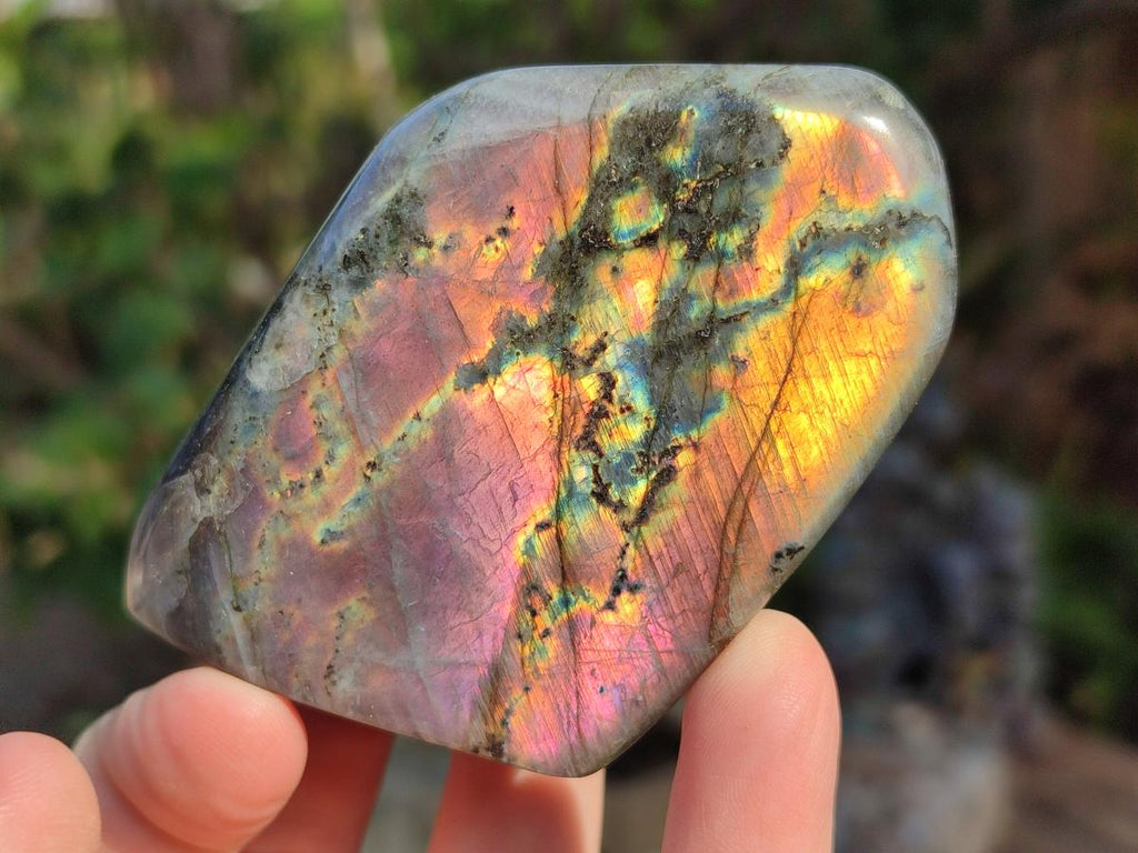 Polished Sunset Flash Labradorite Standing Display Pieces x 12 From Madagascar