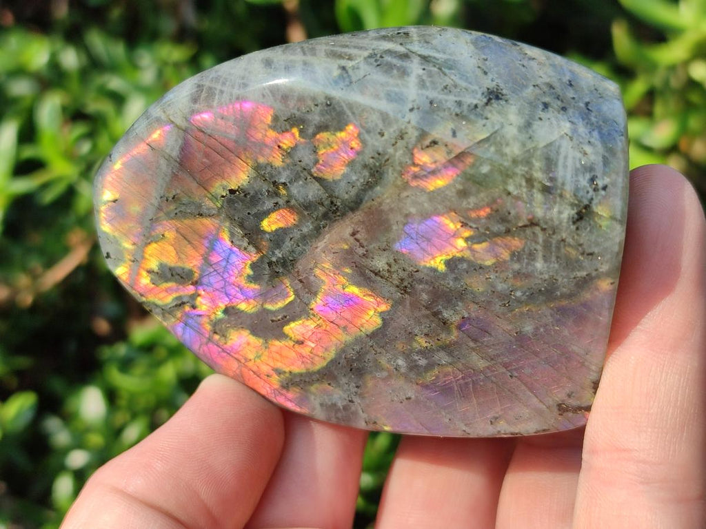 Polished Sunset Flash Labradorite Standing Display Pieces x 12 From Madagascar