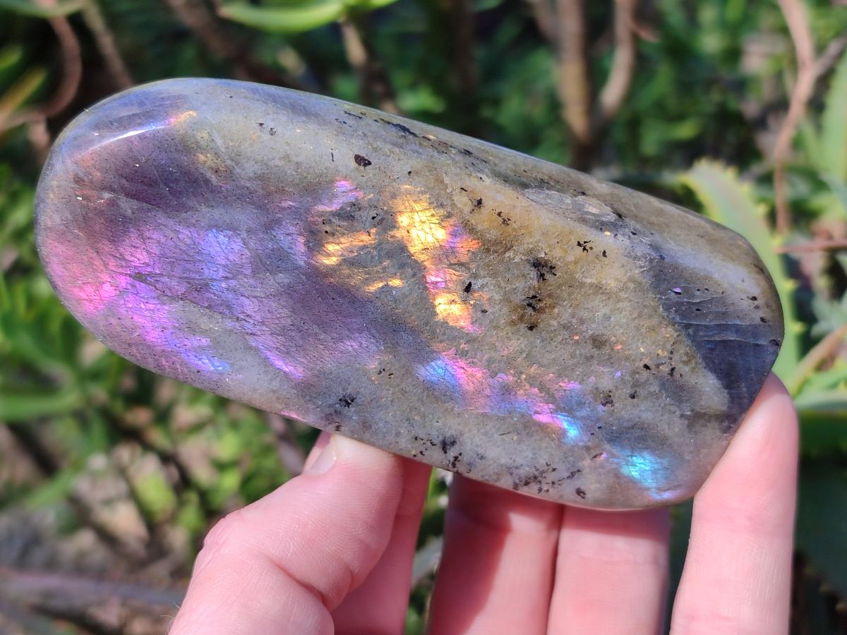 Polished Sunset Flash Labradorite Standing Display Pieces x 12 From Madagascar