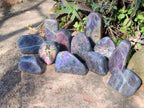 Polished Sunset Flash Labradorite Standing Display Pieces x 12 From Madagascar