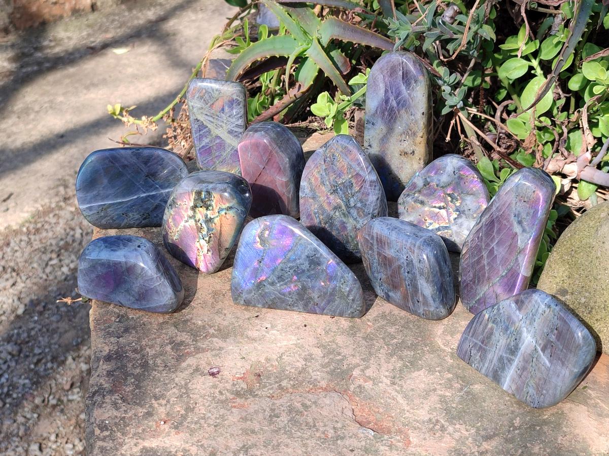 Polished Sunset Flash Labradorite Standing Display Pieces x 12 From Madagascar