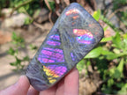 Polished Sunset Flash Labradorite Standing Display Pieces x 12 From Madagascar