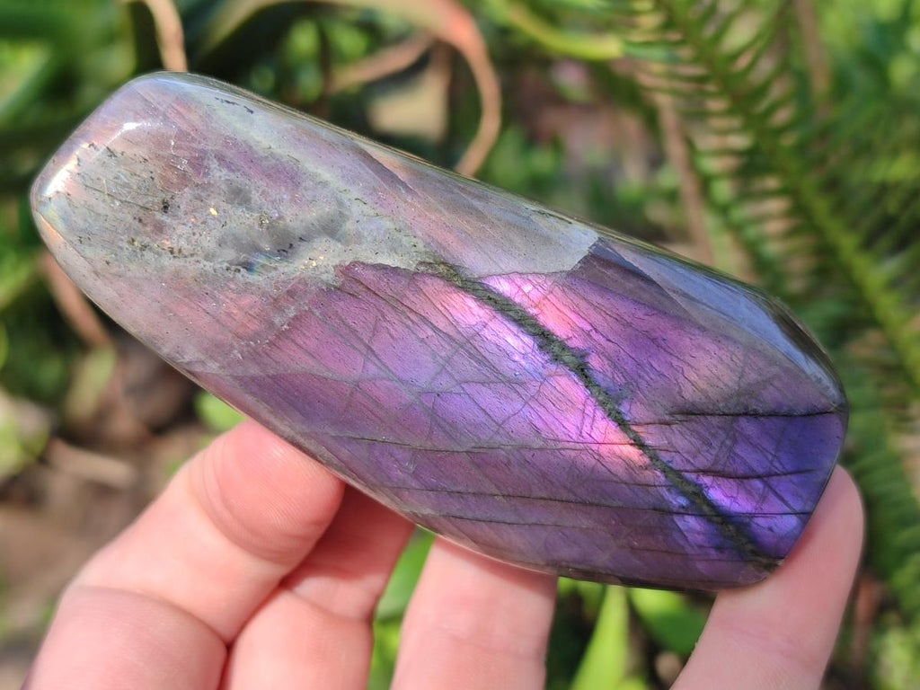 Polished Sunset Flash Labradorite Standing Display Pieces x 12 From Madagascar