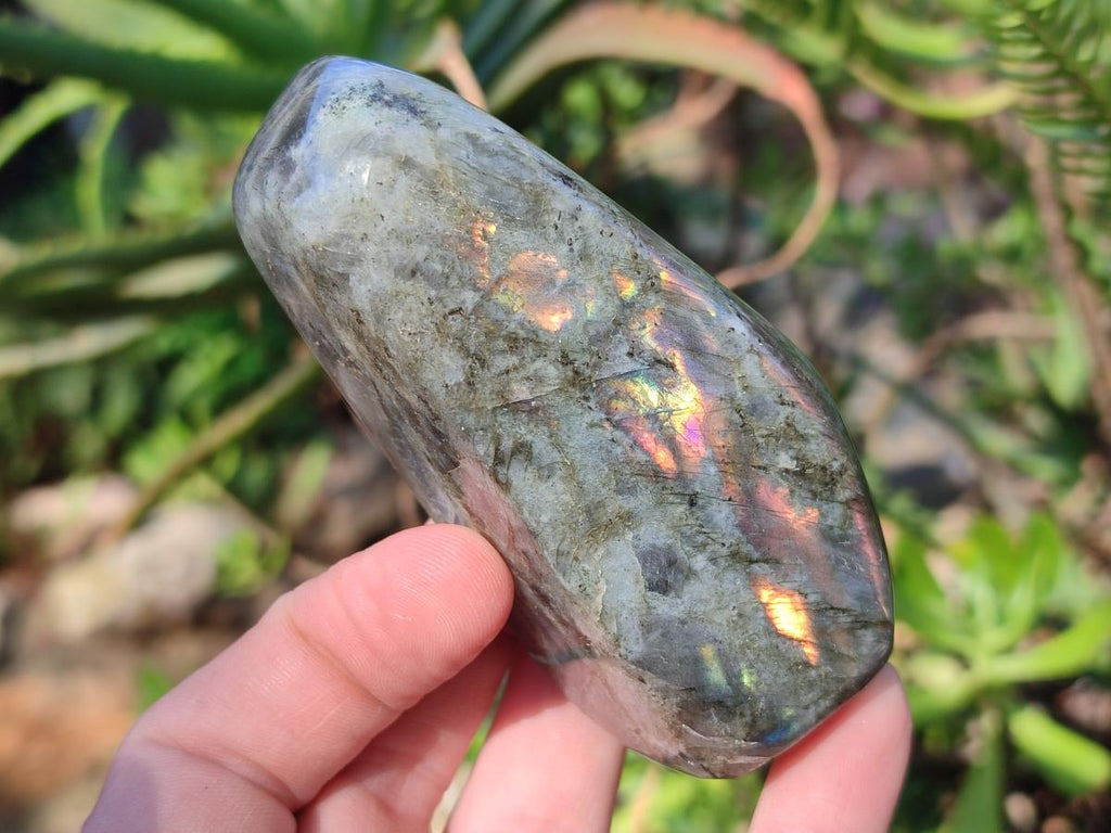 Polished Sunset Flash Labradorite Standing Display Pieces x 12 From Madagascar