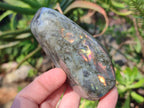 Polished Sunset Flash Labradorite Standing Display Pieces x 12 From Madagascar