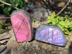 Polished Sunset Flash Labradorite Standing Display Pieces x 12 From Madagascar