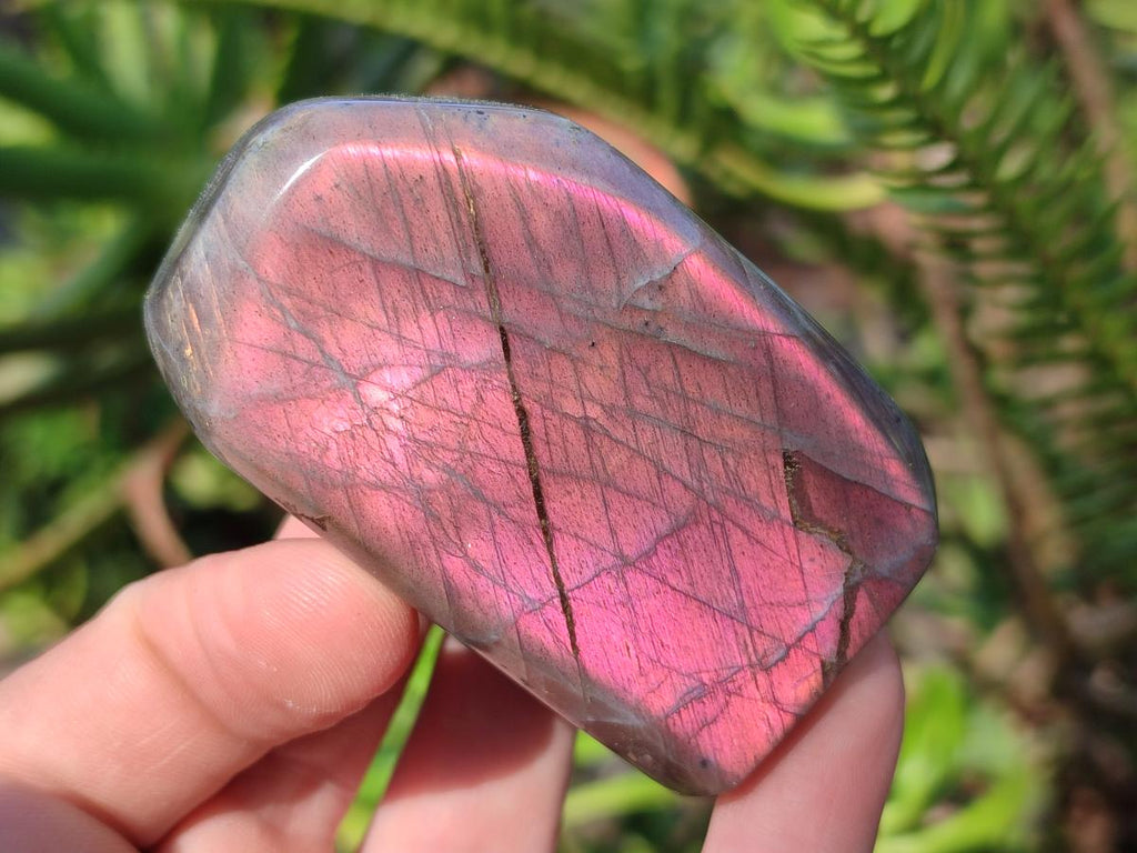 Polished Sunset Flash Labradorite Standing Display Pieces x 12 From Madagascar
