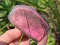 Polished Sunset Flash Labradorite Standing Display Pieces x 12 From Madagascar