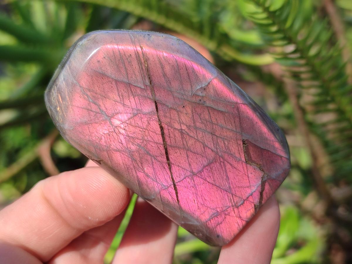 Polished Sunset Flash Labradorite Standing Display Pieces x 12 From Madagascar