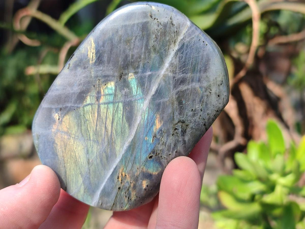 Polished Sunset Flash Labradorite Standing Display Pieces x 12 From Madagascar