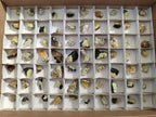 Natural Rare Hyalite Opal Specimens with Associated Minerals x 70 From Namibia