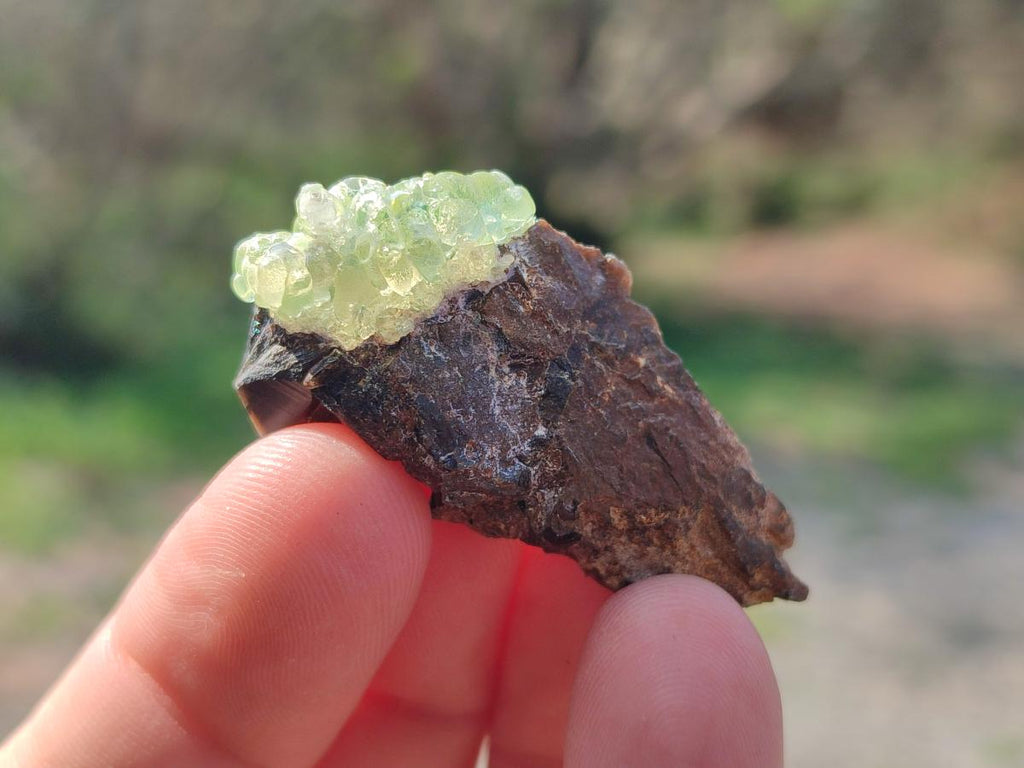 Natural Rare Hyalite Opal Specimens with Associated Minerals x 70 From Namibia