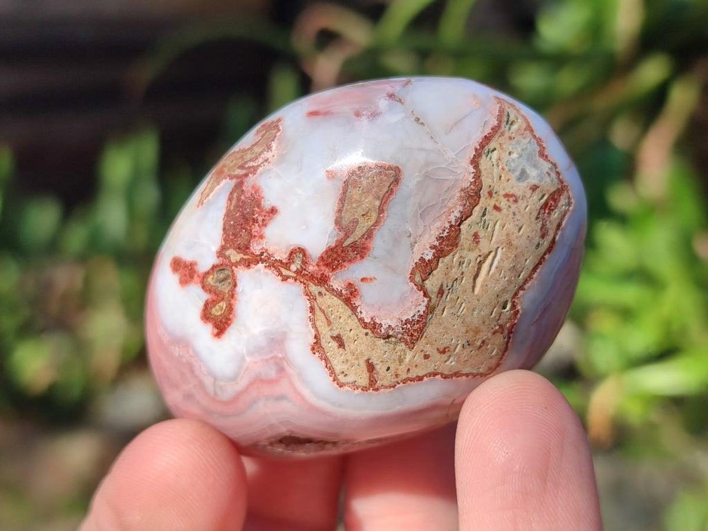 Polished Red Shashe River Agate Galets x 35 From Shashe River, Zimbabwe