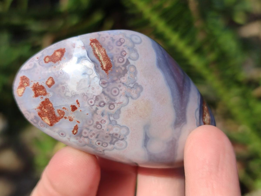 Polished Red Shashe River Agate Galets x 35 From Shashe River, Zimbabwe
