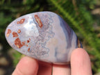 Polished Red Shashe River Agate Galets x 35 From Shashe River, Zimbabwe