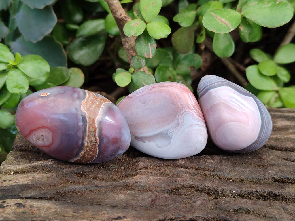 Polished Red Shashe River Agate Galets x 35 From Shashe River, Zimbabwe