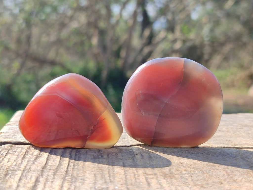 Polished Red Shashe River Agate Galets x 35 From Shashe River, Zimbabwe