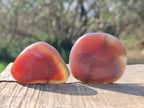 Polished Red Shashe River Agate Galets x 35 From Shashe River, Zimbabwe