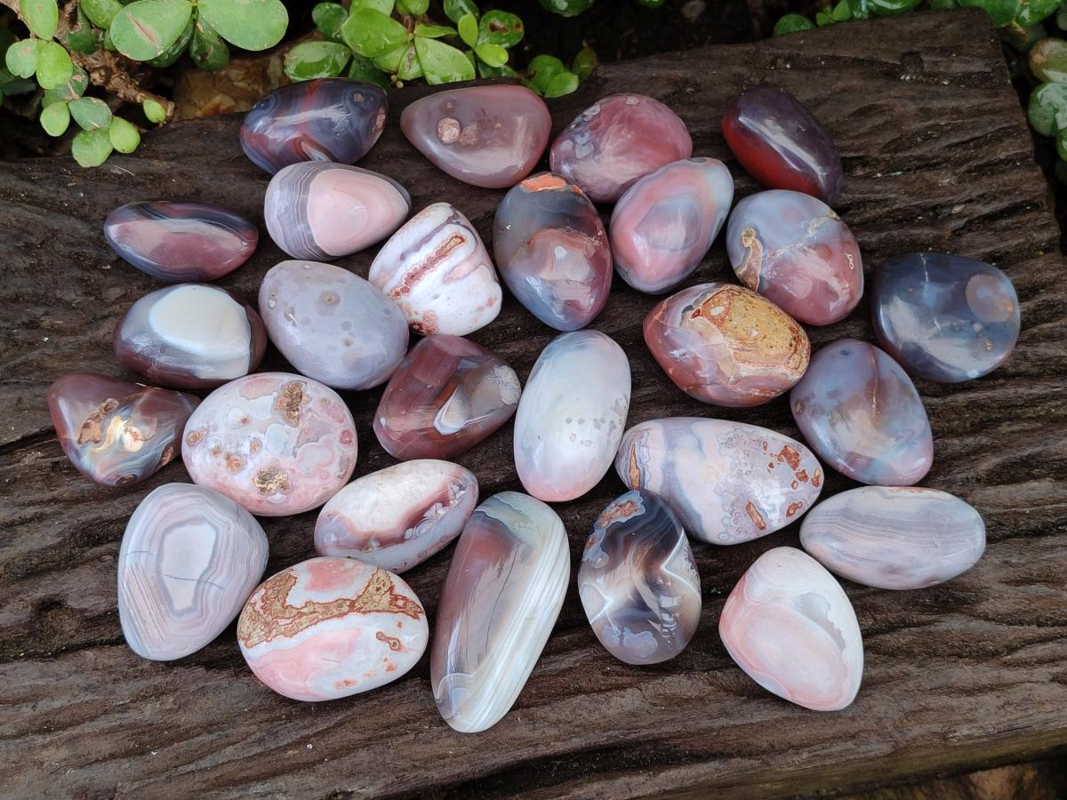Polished Red Shashe River Agate Galets x 35 From Shashe River, Zimbabwe