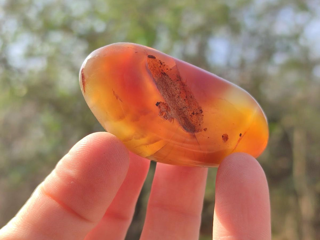Polished Red Shashe River Agate Galets x 35 From Shashe River, Zimbabwe
