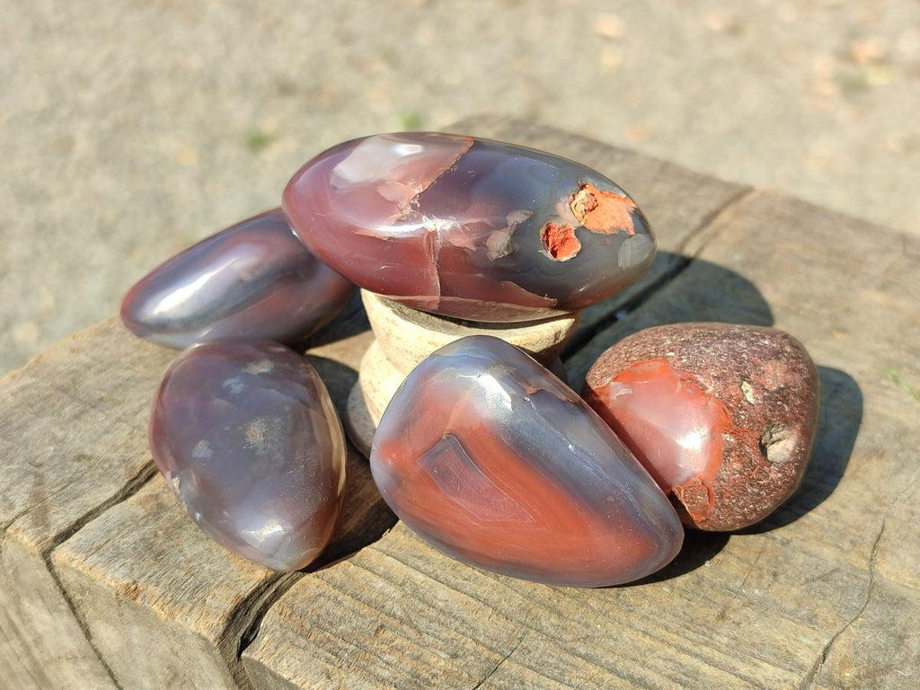 Polished Red Shashe River Agate Galets x 35 From Shashe River, Zimbabwe