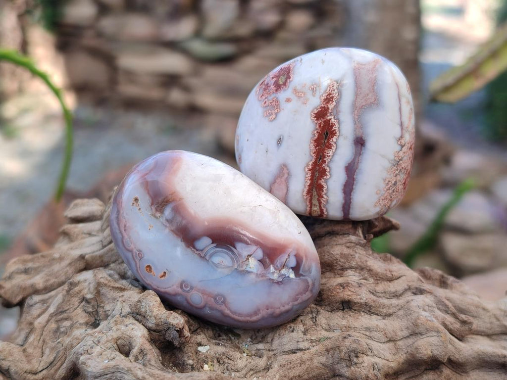 Polished Red Shashe River Agate Galets x 35 From Shashe River, Zimbabwe