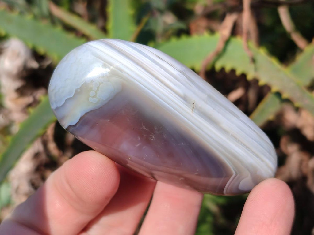 Polished Red Shashe River Agate Galets x 35 From Shashe River, Zimbabwe