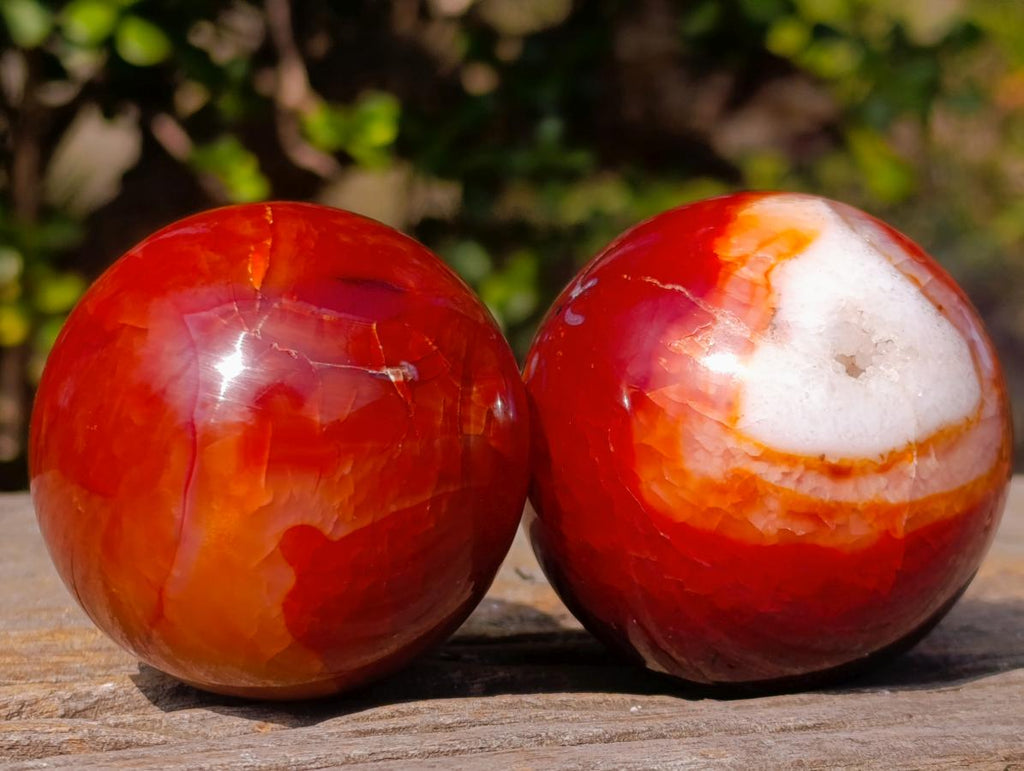 Polished Carnelian Agate Gemstone Spheres x 6 From Madagascar
