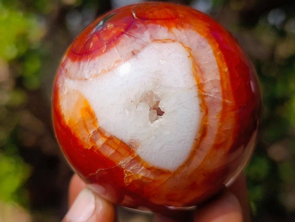 Polished Carnelian Agate Gemstone Spheres x 6 From Madagascar