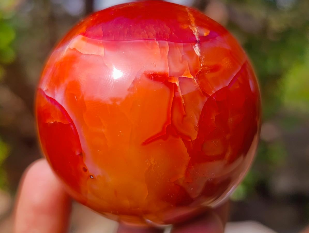 Polished Carnelian Agate Gemstone Spheres x 6 From Madagascar