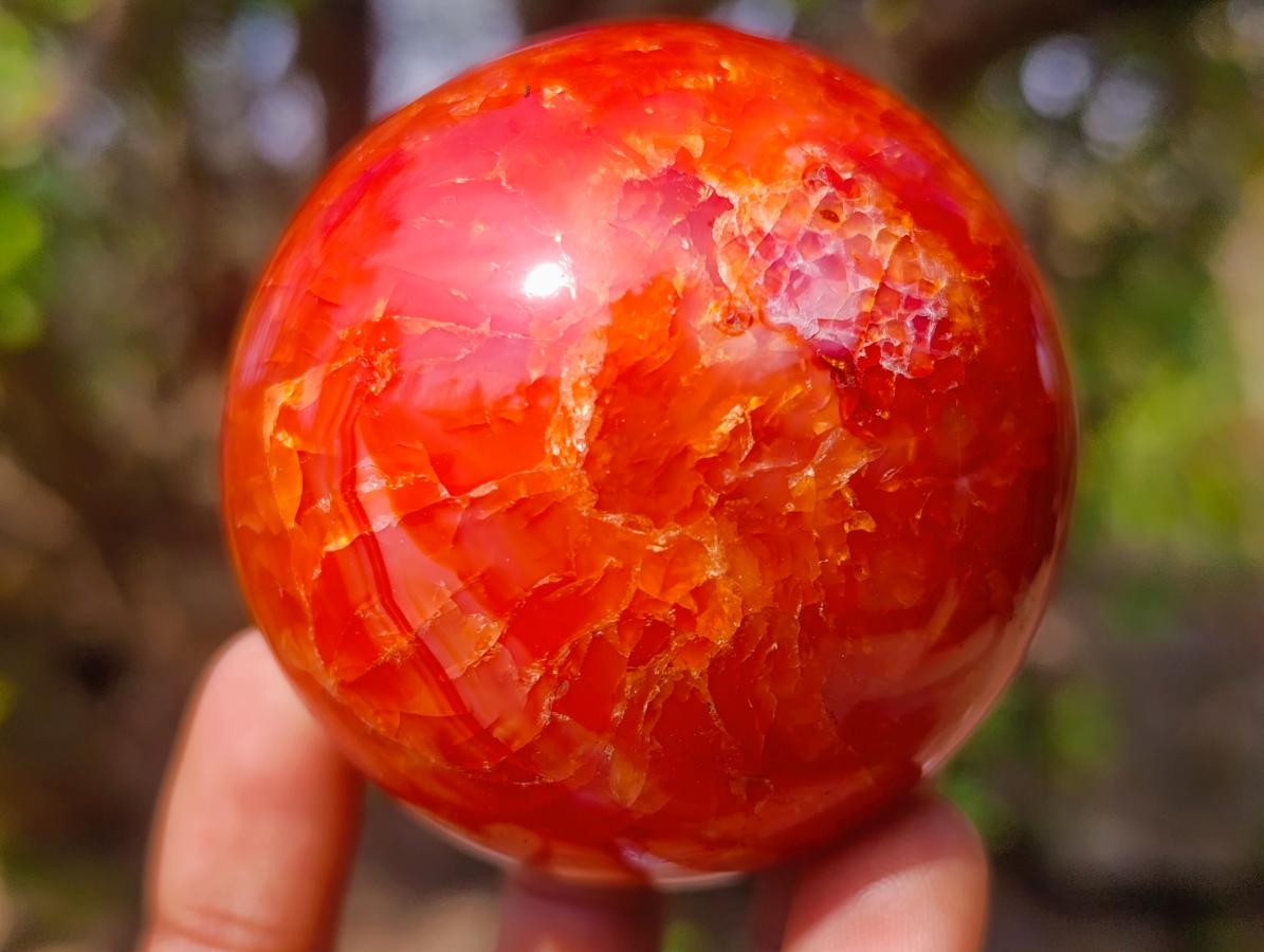 Polished Carnelian Agate Gemstone Spheres x 6 From Madagascar