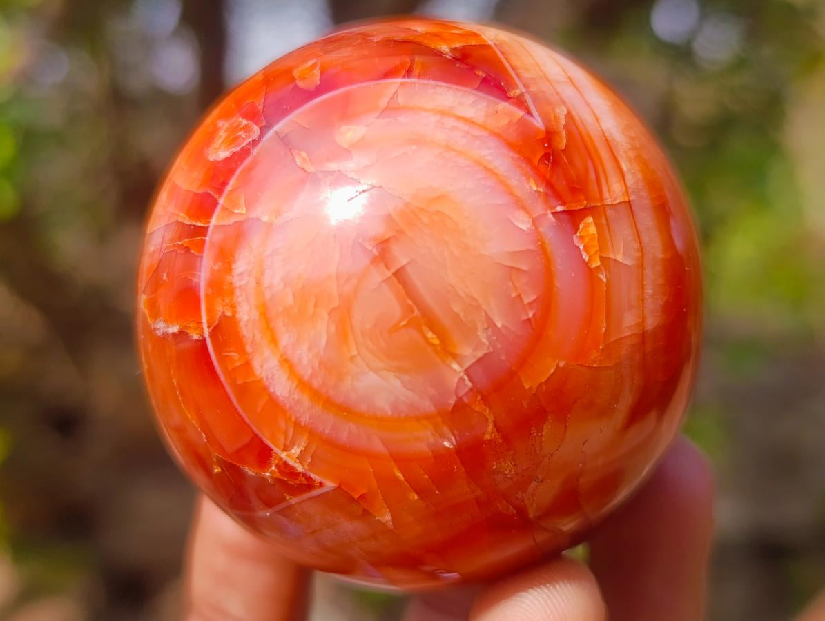 Polished Carnelian Agate Gemstone Spheres x 6 From Madagascar